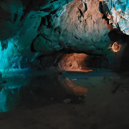 ホームステイ Pechdavid Sud トゥールーズ