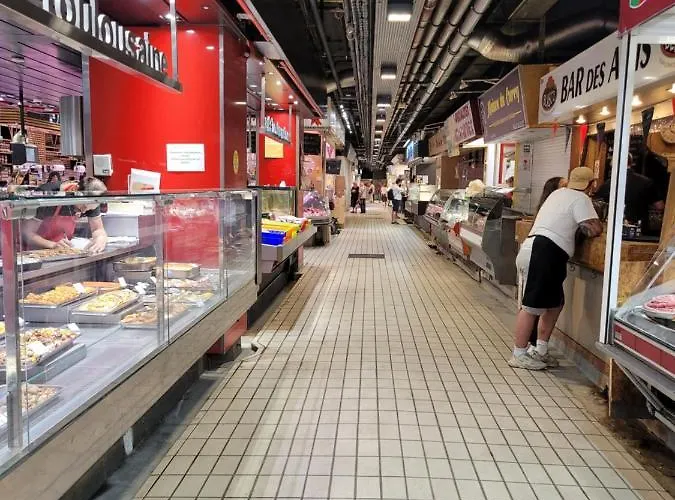 בית אירוח Pechdavid Sud טולוז