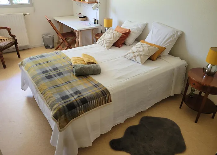 Pechdavid Sud 民宿 圖盧茲