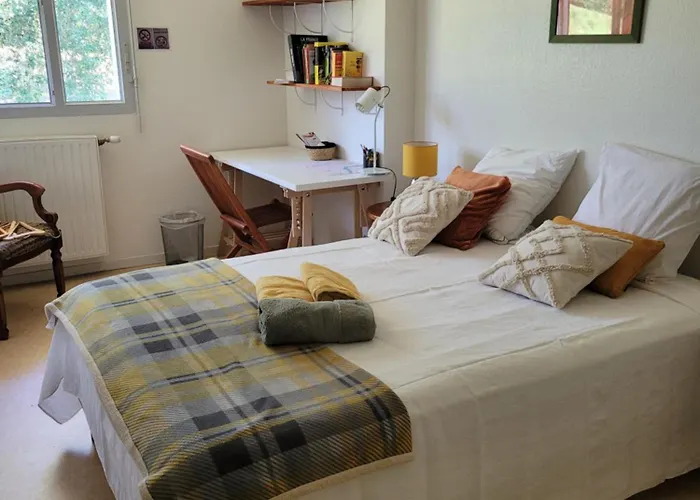 בית אירוח Pechdavid Sud טולוז