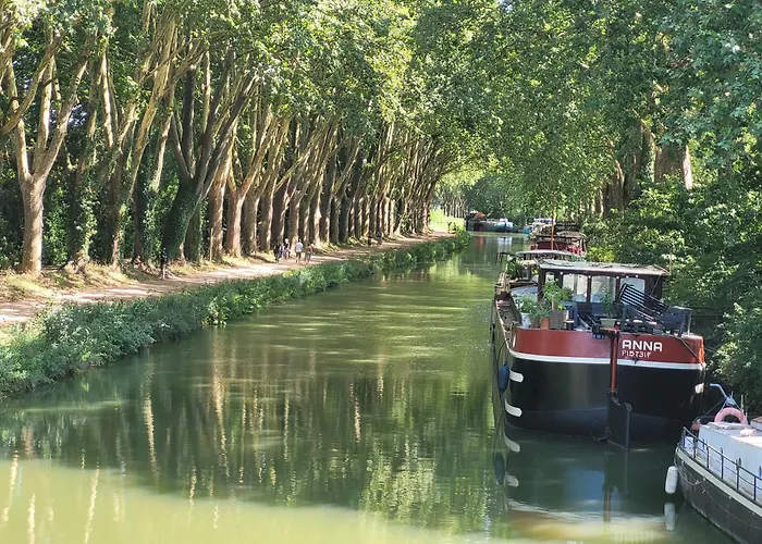 בית אירוח Pechdavid Sud טולוז