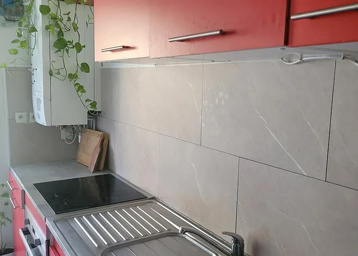 Pechdavid Sud * טולוז