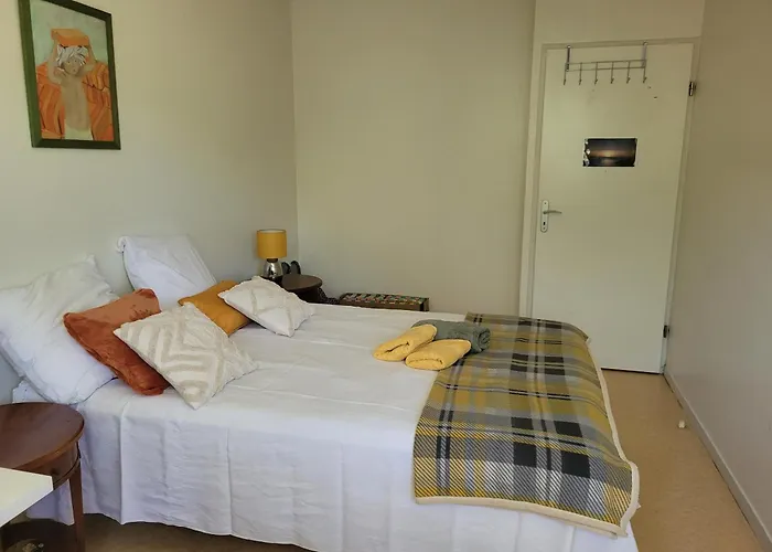 Pechdavid Sud * Tuluza