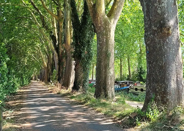 Kwatera prywatna Pechdavid Sud